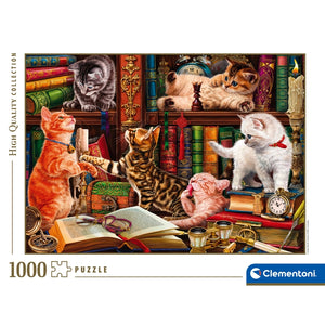 - 1000 pièces