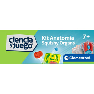 Kit Anatomía Squishy Organs