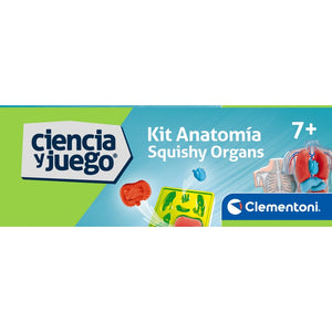Kit Anatomía Squishy Organs