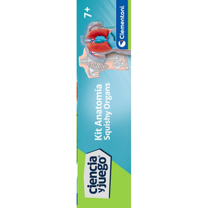 Kit Anatomía Squishy Organs