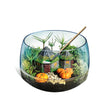 Cargar imagen en el visor de la galería, Harry Potter Terrarium