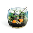 Cargar imagen en el visor de la galería, Harry Potter Terrarium
