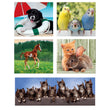Cargar imagen en el visor de la galería, Animal Friends - 1x60 + 2x48 + 4x30 + 3x18 pièces
