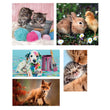 Cargar imagen en el visor de la galería, Animal Friends - 1x60 + 2x48 + 4x30 + 3x18 pièces
