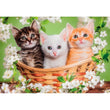 Cargar imagen en el visor de la galería, Brothers In Fur - 60 pièces
