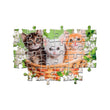 Cargar imagen en el visor de la galería, Brothers In Fur - 60 pièces
