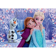 Cargar imagen en el visor de la galería, Frozen - 2x20 pièces
