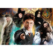 Cargar imagen en el visor de la galería, Harry Potter - 500 pièces
