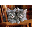 Cargar imagen en el visor de la galería, Kittens - 500 pièces
