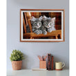Cargar imagen en el visor de la galería, Kittens - 500 pièces
