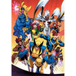 Cargar imagen en el visor de la galería, Marvel Xmen - 1000 pièces
