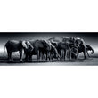 Cargar imagen en el visor de la galería, Herd Of Giants - 1000 pièces
