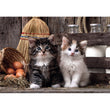 Cargar imagen en el visor de la galería, Lovely Kittens - 1000 pièces
