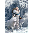 Cargar imagen en el visor de la galería, Anne Stokes - Winter Guardians - 1000 pièces
