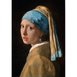 Cargar imagen en el visor de la galería, Vermeer, Girl With Pearl Earring - 1000 pièces
