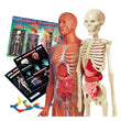 Cargar imagen en el visor de la galería, Laboratorio de Anatomía
