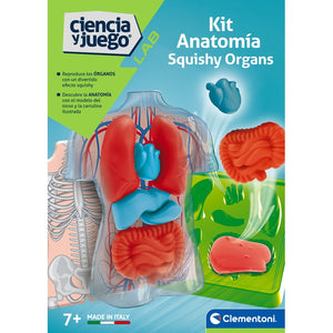 Kit Anatomía Squishy Organs