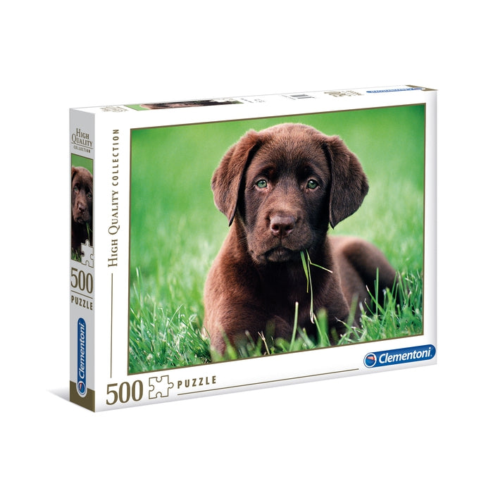 Chocolate Puppy - 500 pièces