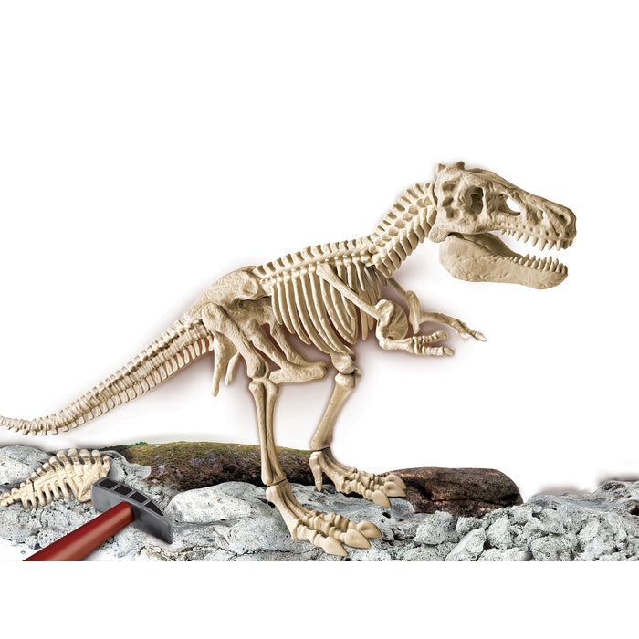 Arqueojugando El  esqueleto del Gran T-Rex