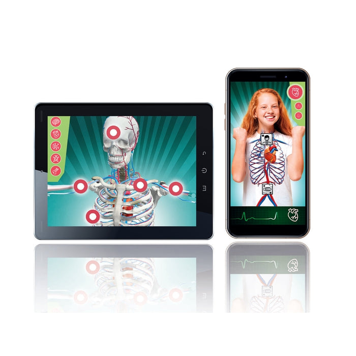 Superanatomia Clementoni ES